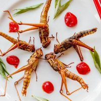 Съедобные насекомые – пища будущего?