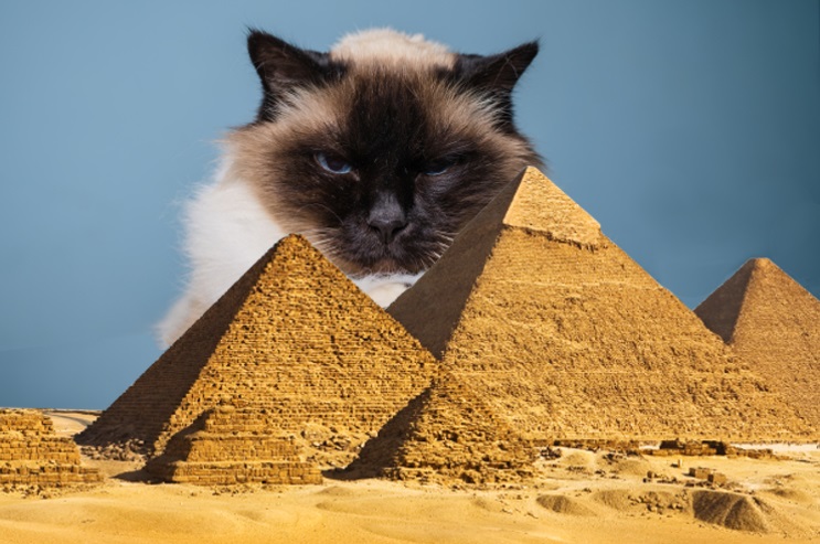 Культ кошек в Древнем Египте