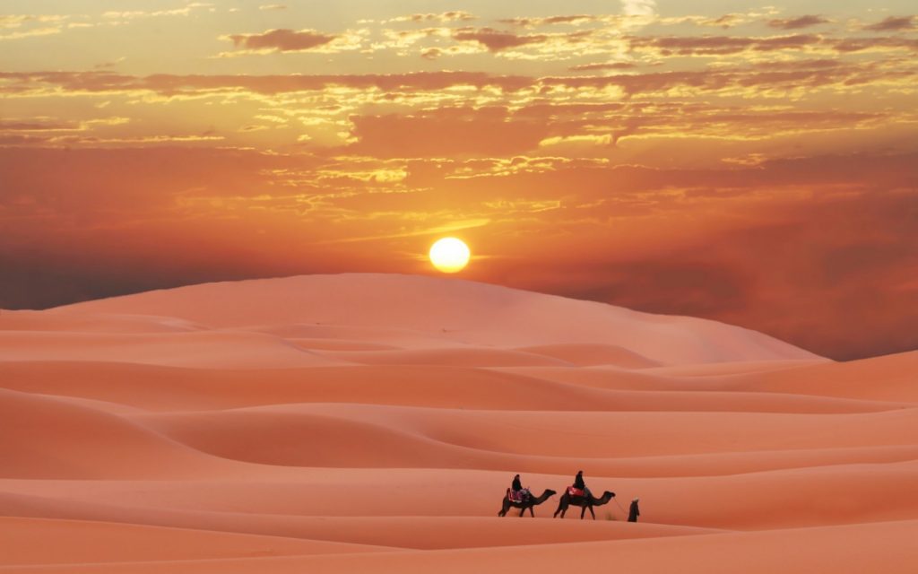 Тайны великой пустыни Сахара ?️