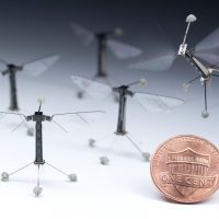 RoboBee: самый маленький летающий робот