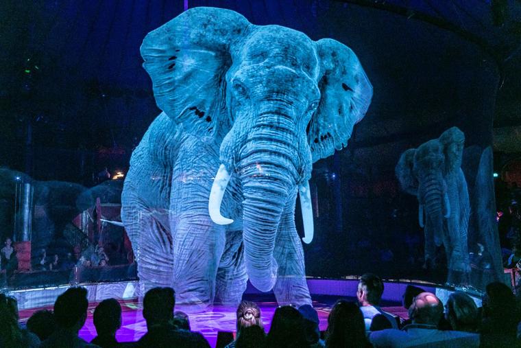 Circus Roncalli: первый цирк с голограммами вместо животных