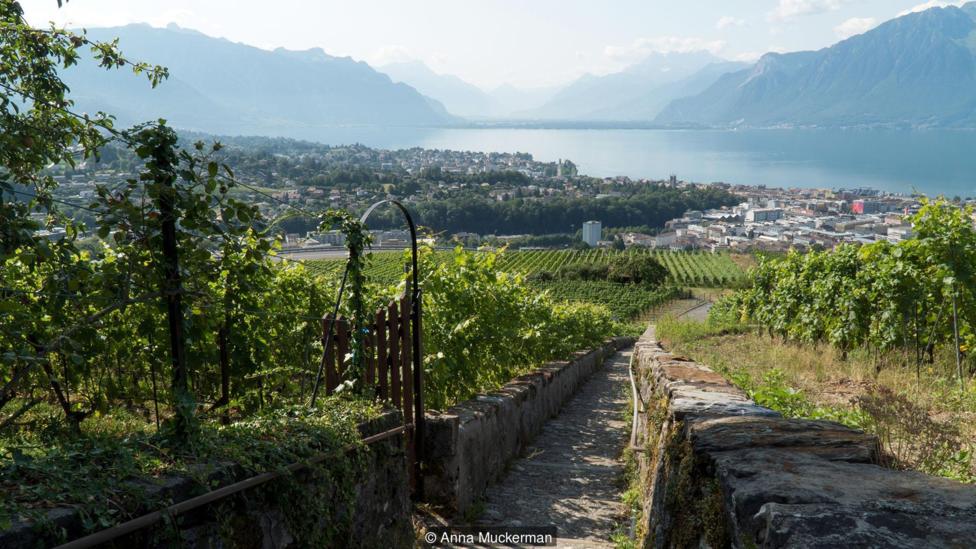 Фестиваль виноградарей в швейцарском городе Веве