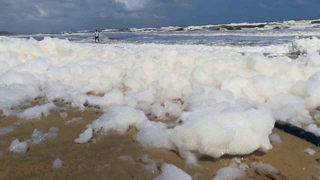 Ядовитая пена накрыла индийский пляж Marina beach