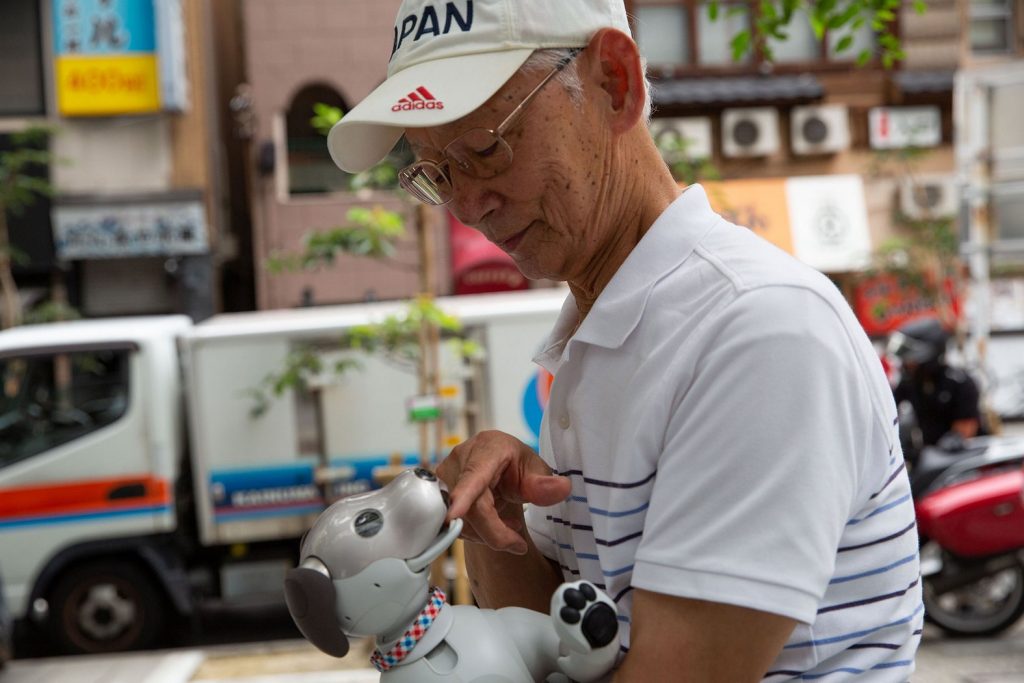 Aibo Land: кафе для собак-роботов 
