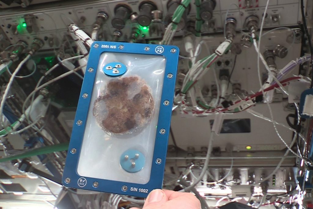 Первое печенье, приготовленное на борту МКС