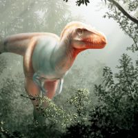 Thanatotheristes degrootorum: новый вид Тираннозавров