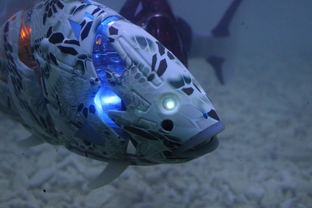 MIRO: удивительные корейские рыбы-роботы - KnowHow