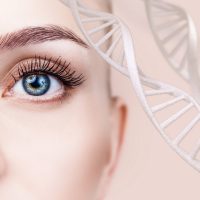 Как генетика определяет цвет наших глаз?