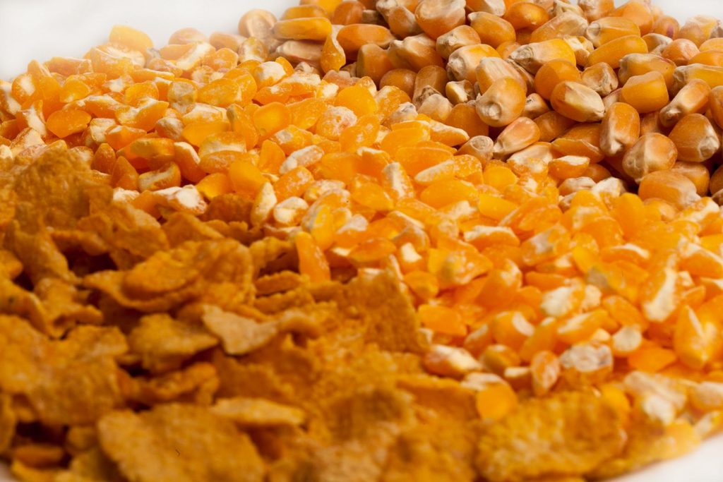 Для чего были созданы кукурузные хлопья. Смотреть фото Для чего были созданы кукурузные хлопья. Смотреть картинку Для чего были созданы кукурузные хлопья. Картинка про Для чего были созданы кукурузные хлопья. Фото Для чего были созданы кукурузные хлопья
