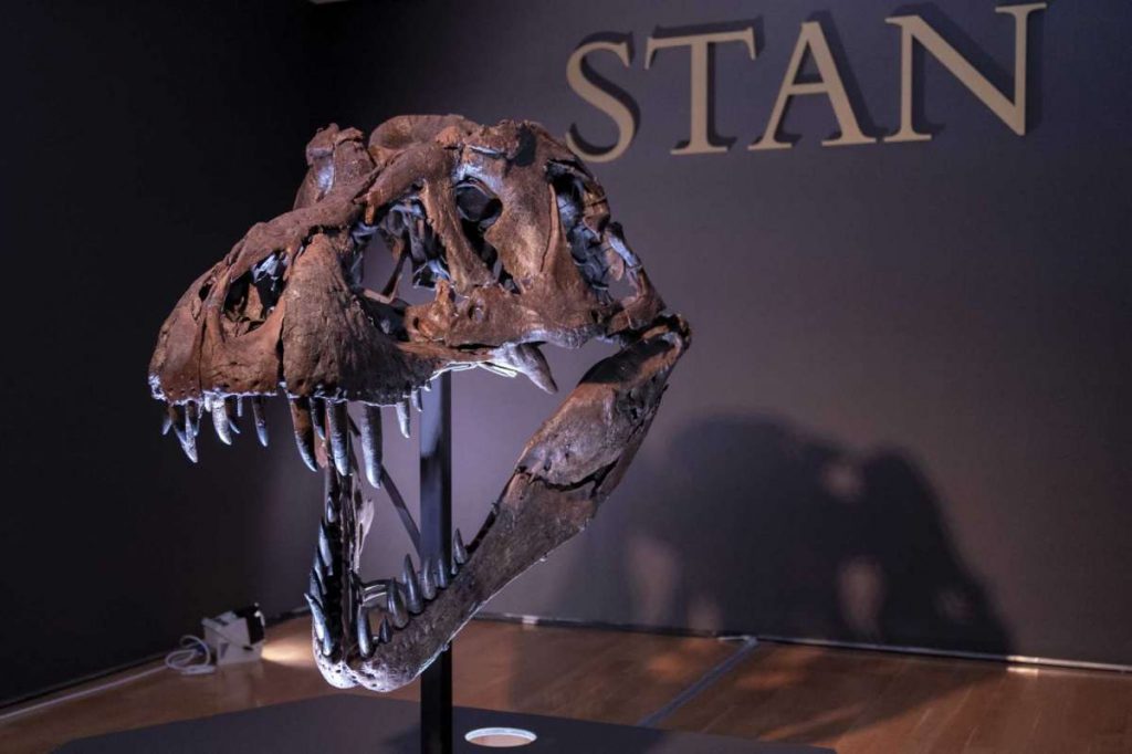 Тираннозавр Стэн стал самой дорогой окаменелостью в мире