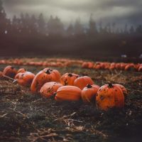 Хэллоуин и тыква: самые необычные тыквенные рекорды