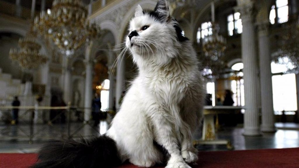 Французский меценат оставил наследство эрмитажным котам