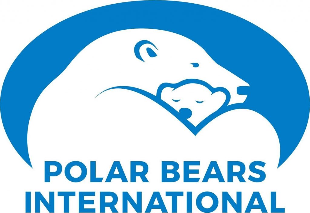 27 февраля: Международный день полярного медведя