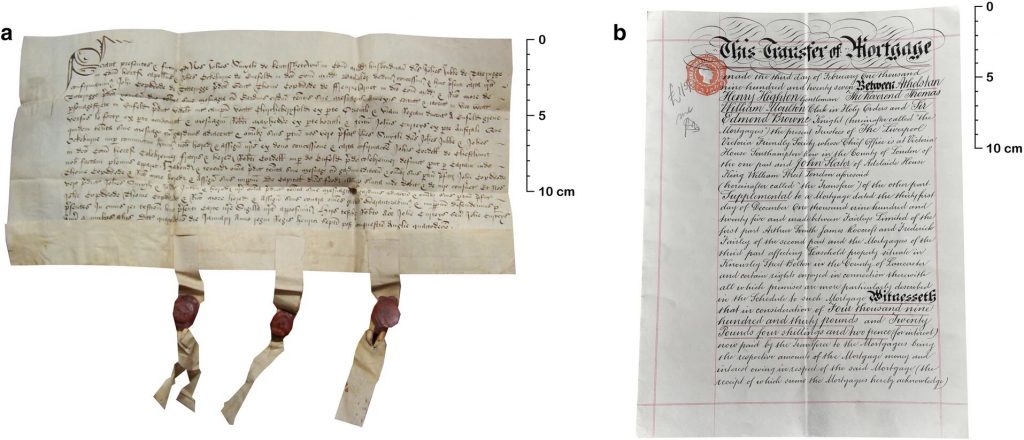 Пергамент из овчины как средневековый метод борьбы с мошенничеством