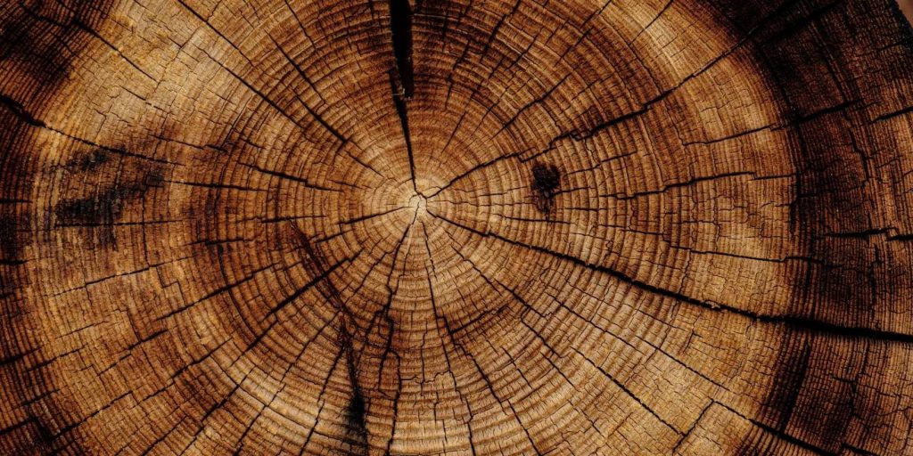 Учёные научились генерировать электричество из древесины