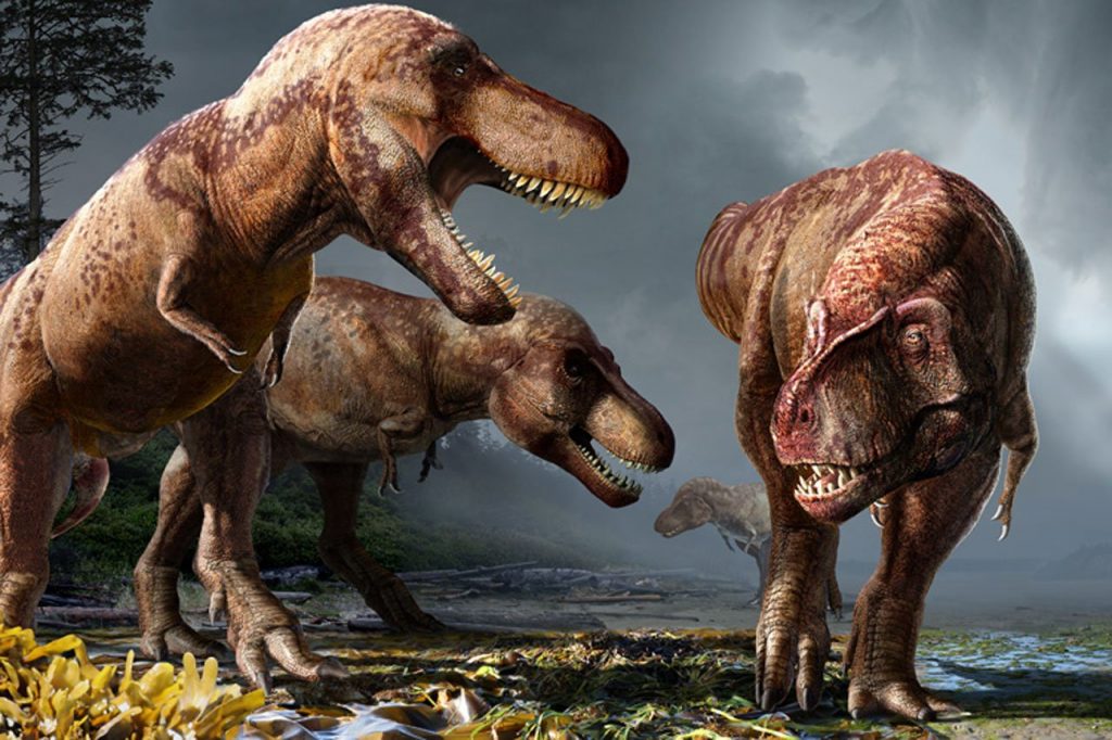 Как палеонтологи тираннозавров считали