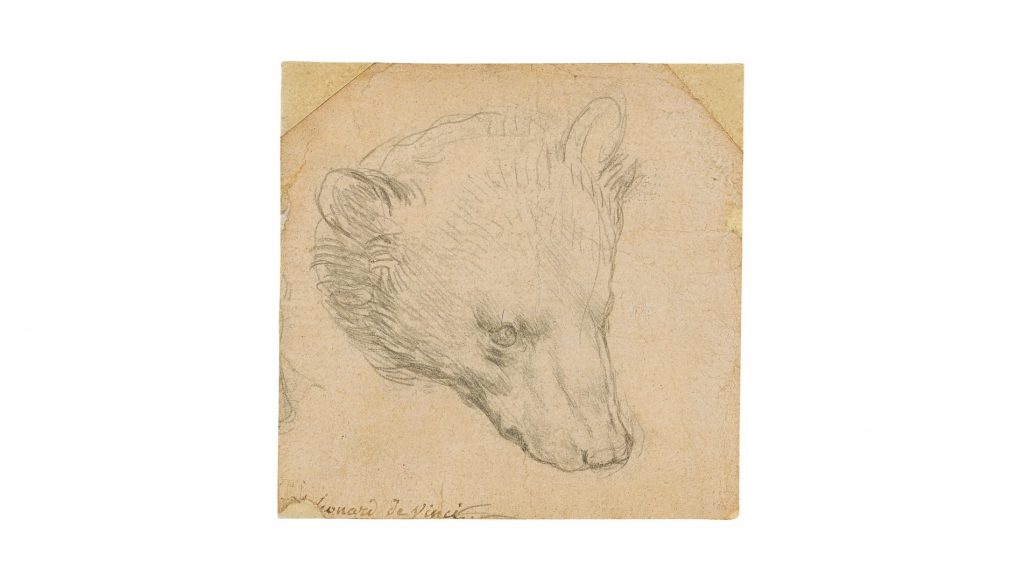Рисунок да Винчи «Голова медведя» продадут на аукционе Christie's