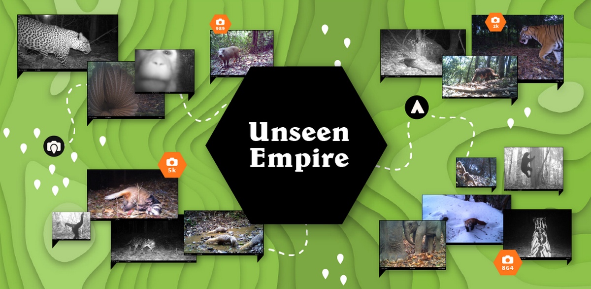 Unseen Empire: исследуйте джунгли Азии в мобильной игре