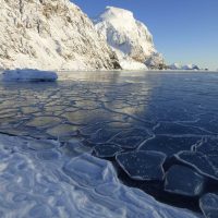ВМО подтвердила новый температурный рекорд в Антарктиде