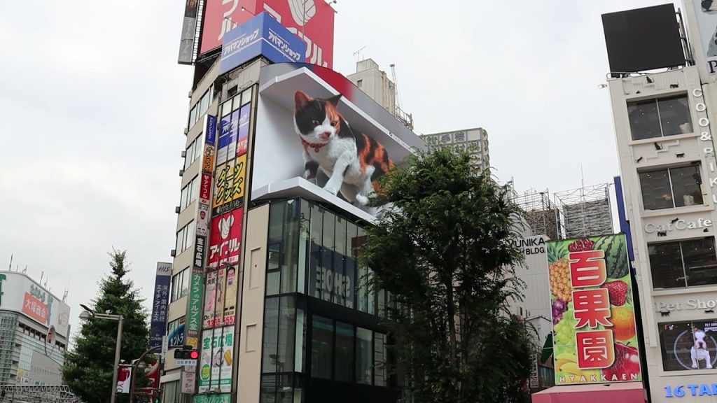 В японском Синдзюку поселилась гигантская 3D-кошка
