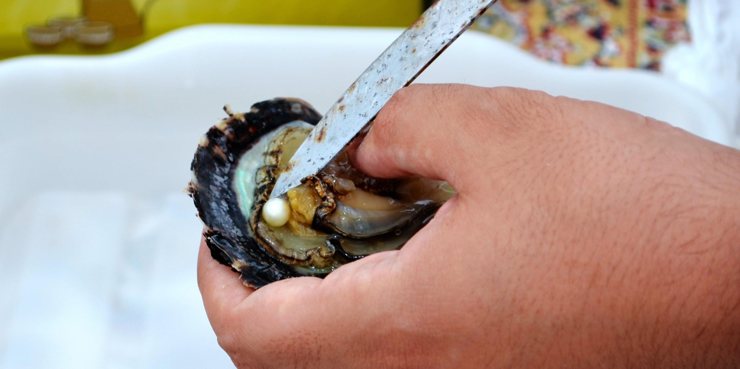 Жемчуг: как моллюски производят драгоценные камни?