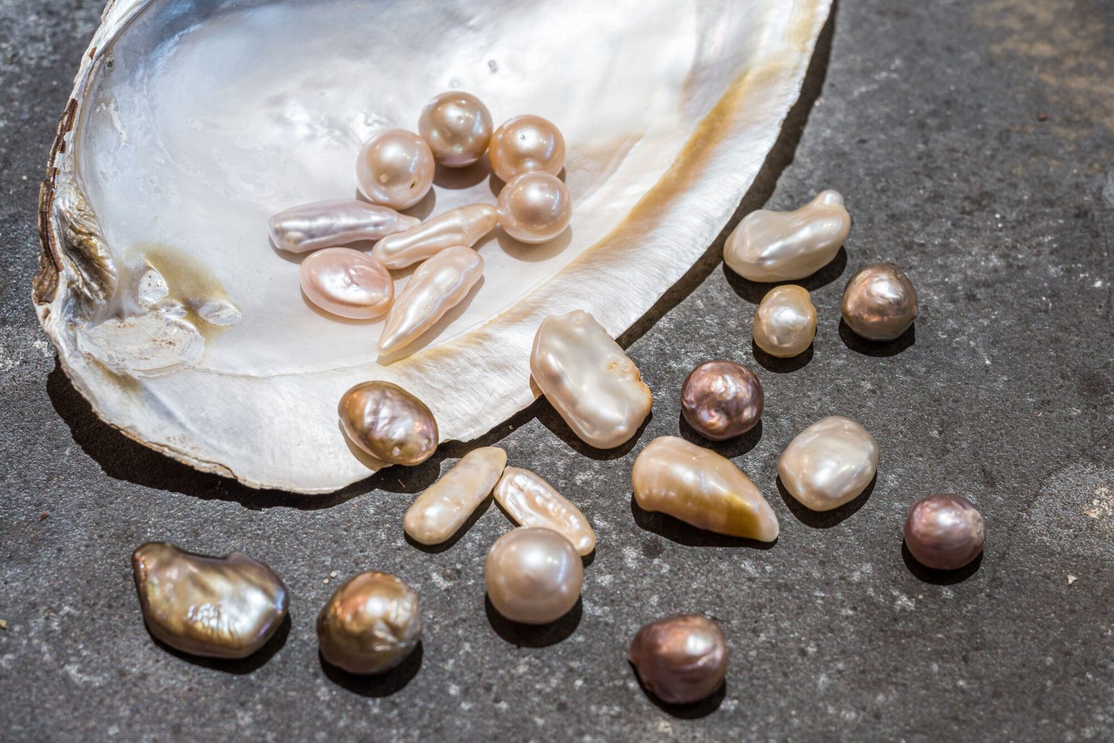 Жемчуг: как моллюски производят драгоценные камни? - KnowHow