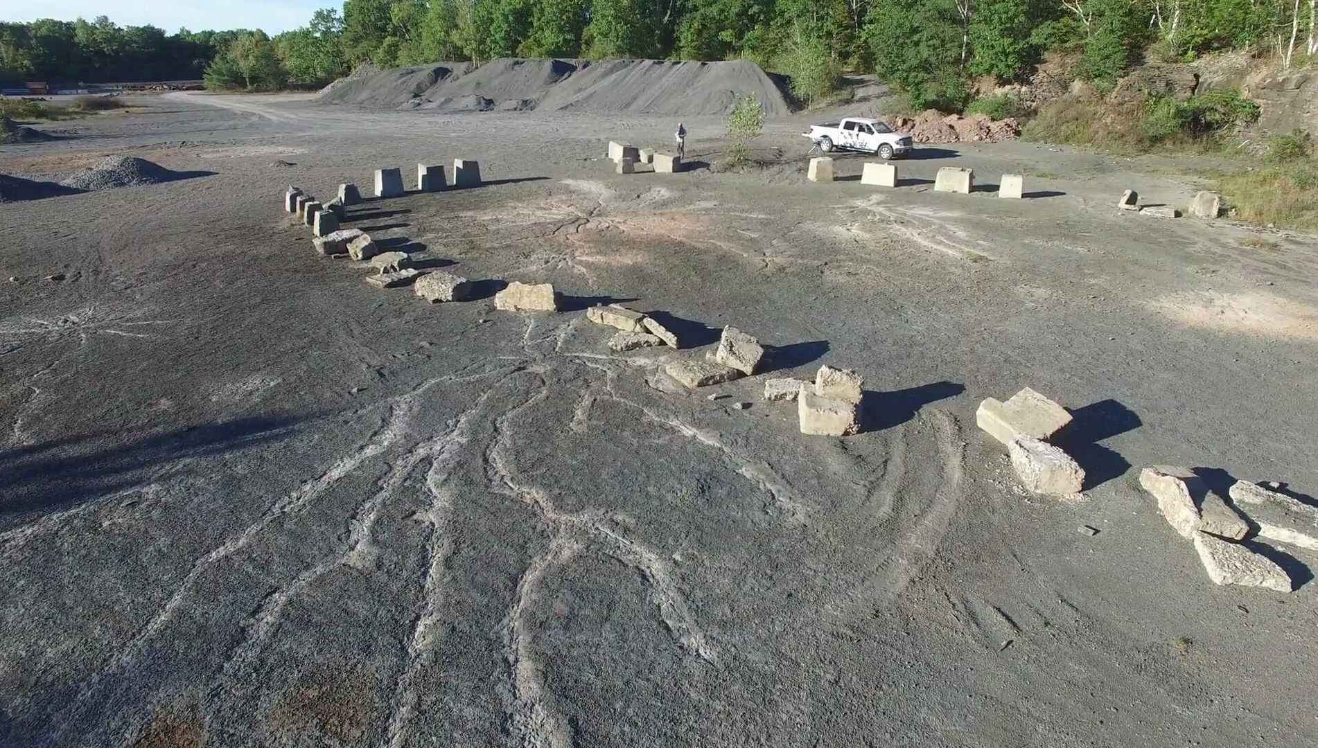 Древнейший ископаемый лес на планете