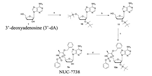 NUC-7738: противораковый препарат из гриба-паразита