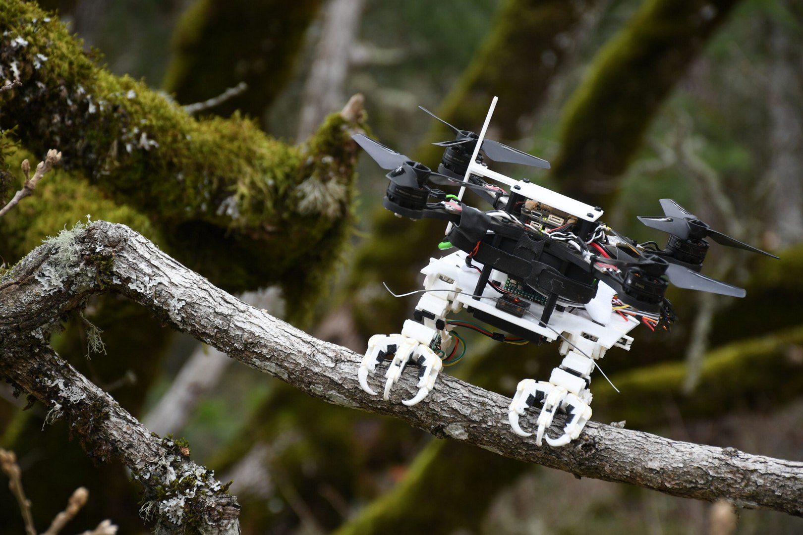 SNAG: робот-дрон с птичьими лапами