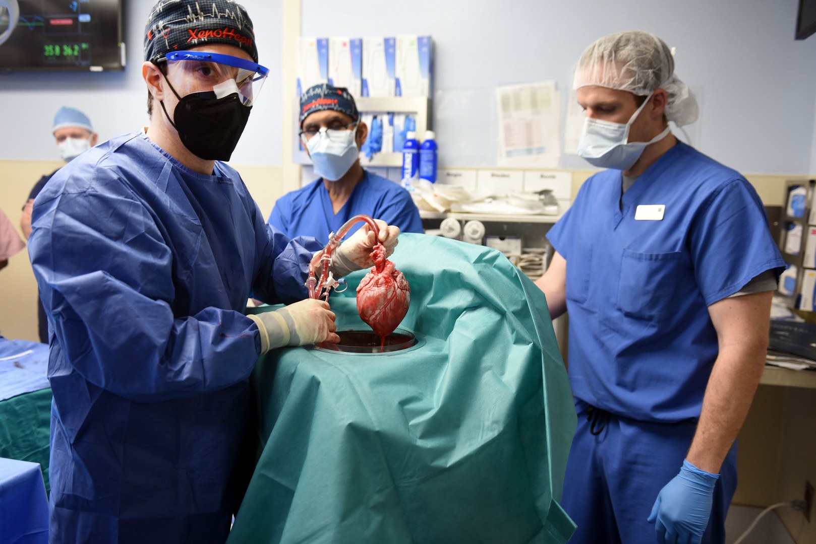 В США человеку впервые пересадили свиное сердце