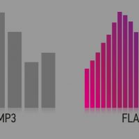 Разница между цифровыми аудиоформатами MP3 и FLAC