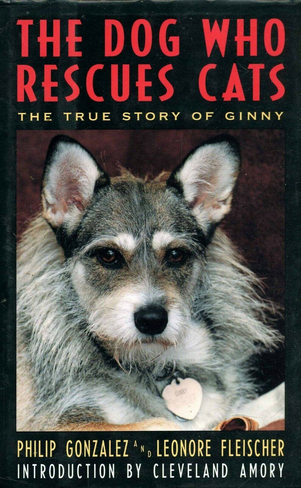 Джинни: история собаки, спасавшей кошек