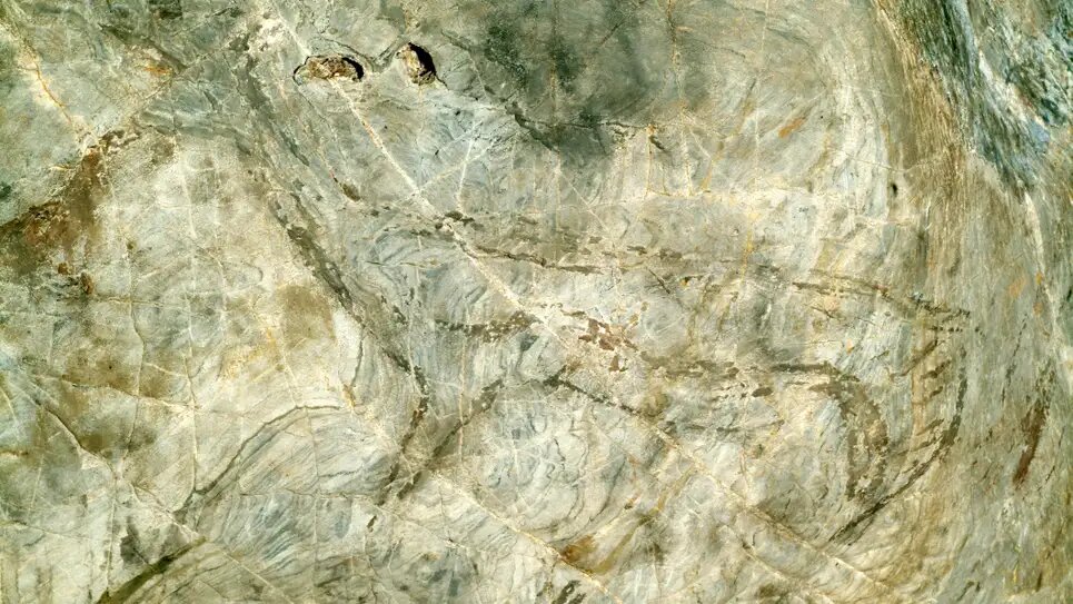 Наскальная живопись пещеры Куэва-де-Ардалес