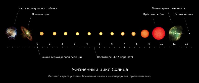 Сколько живут звёзды?