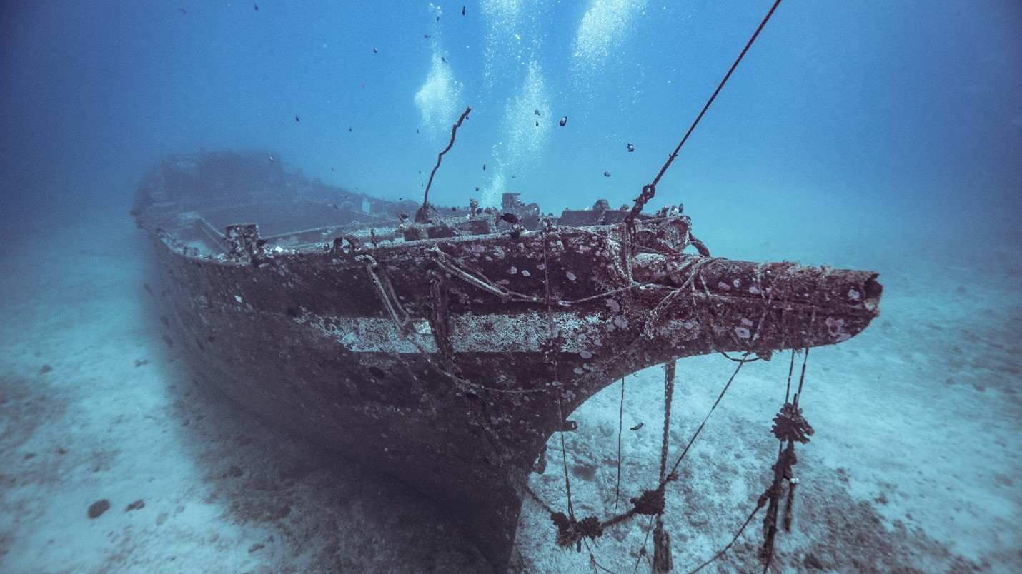 Останки затонувших кораблей изменяют биоразнообразие подводного мира