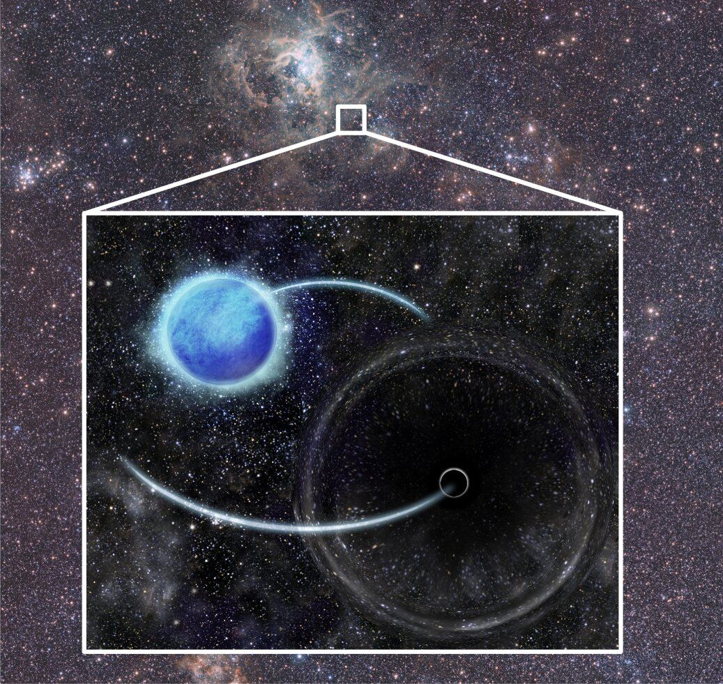 Учёные обнаружили «невидимую» чёрную дыру в системе VFTS 243