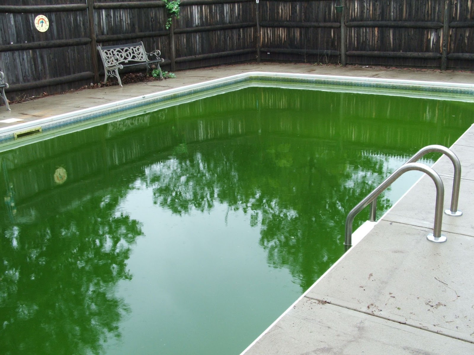 Как очистить зеленый бассейн 