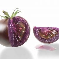 В США одобрили продажу фиолетовых ГМ-томатов