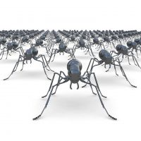 Учёные подсчитали количество муравьёв на Земле