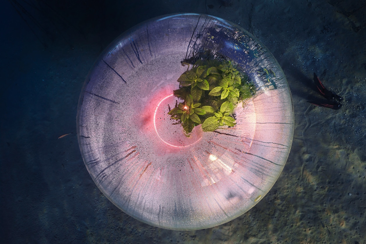 Nemo’s Garden: первая подводная теплица