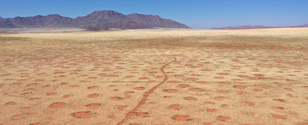 Учёные раскрыли тайну волшебных кругов Намибии