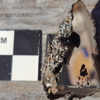 В метеорите Эль-Али обнаружили неизвестные науке минералы
