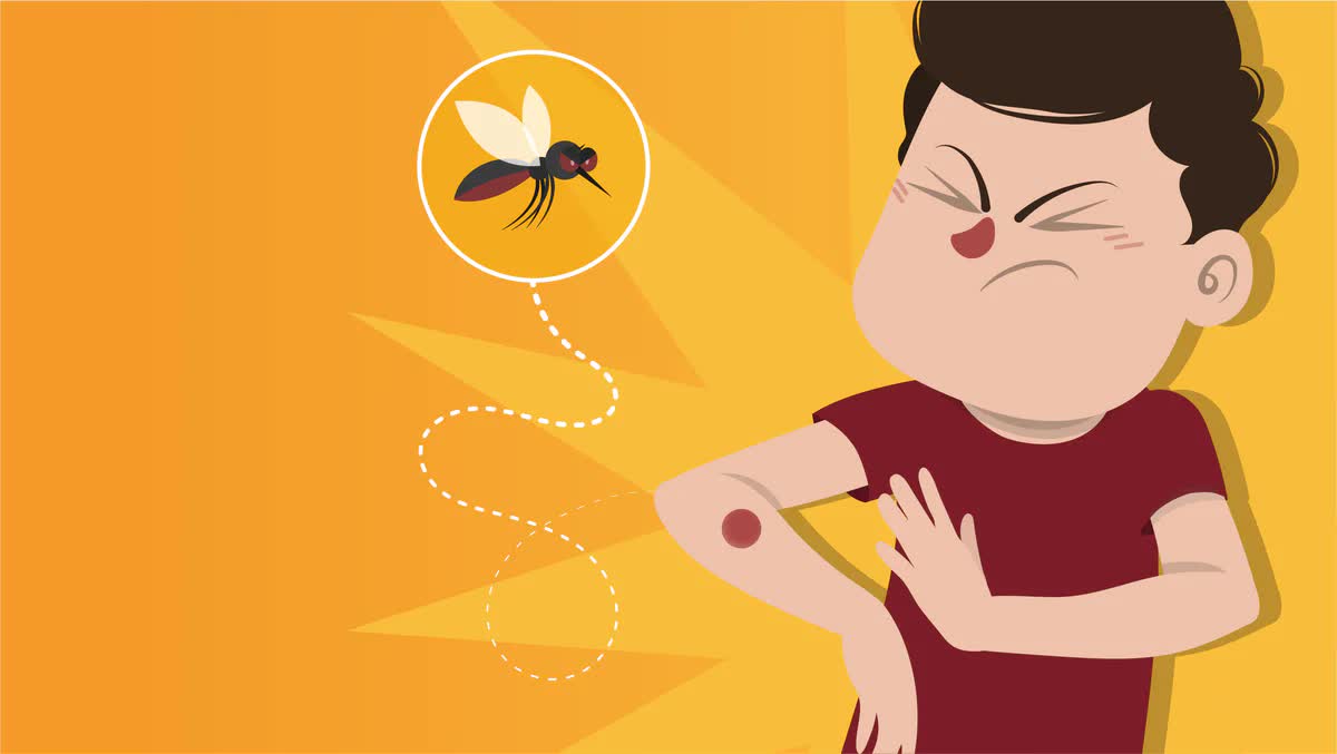 Витамины и БАДы не отпугивают комаров: история мифа