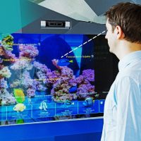 AI Aquarium: умный аквариум идентифицирует виды рыб