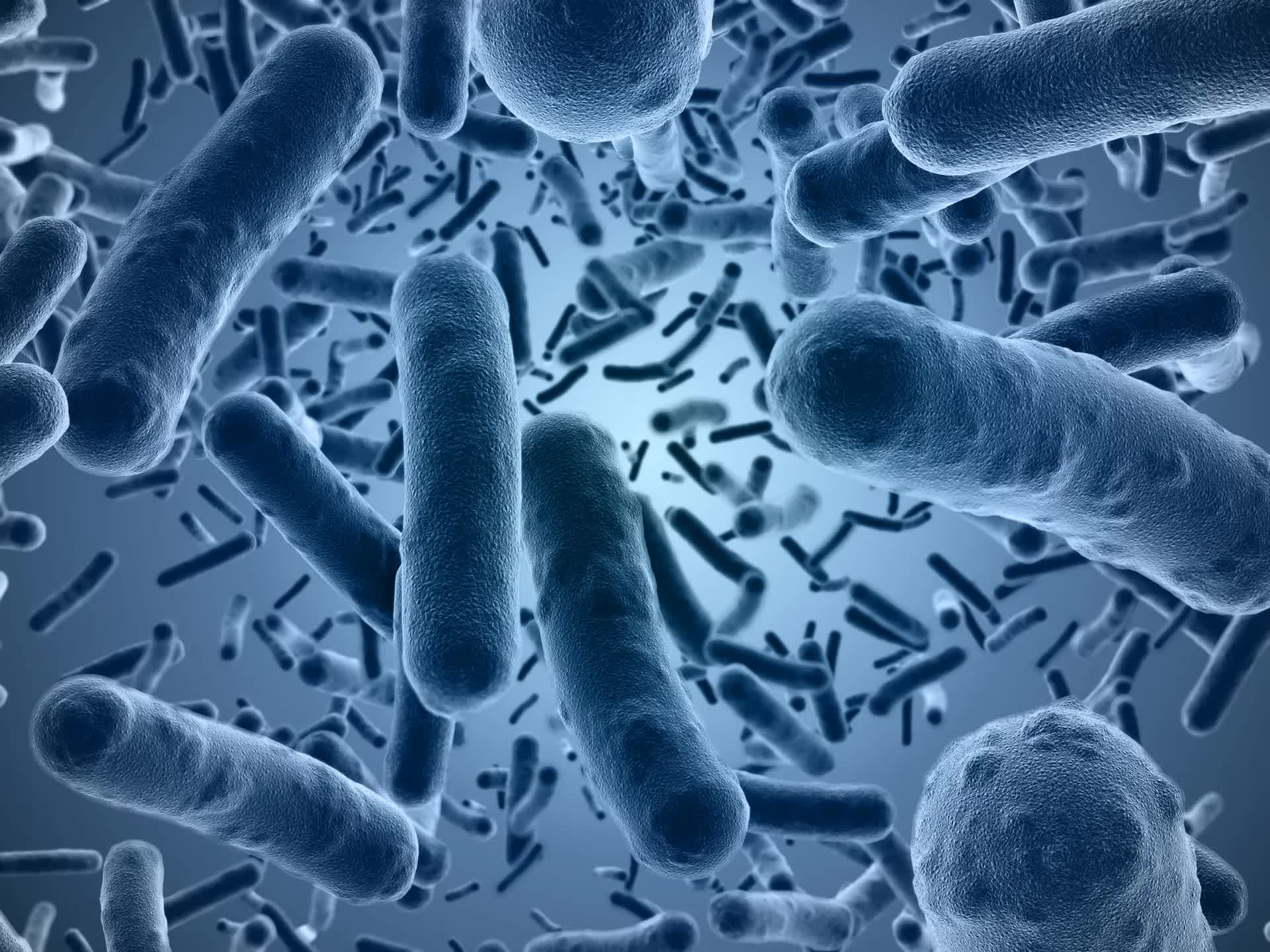 Пептиды могут уничтожать бактерии без антибиотиков