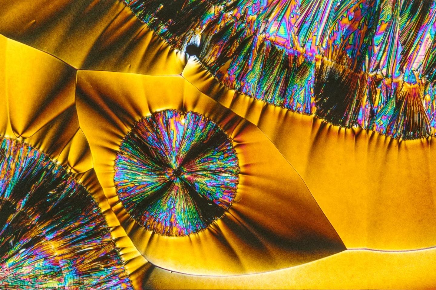 Микрокристаллы в объективе Петера Войчиковски