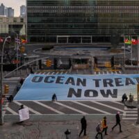 High Seas Treaty: в ООН достигли соглашения о защите открытого моря