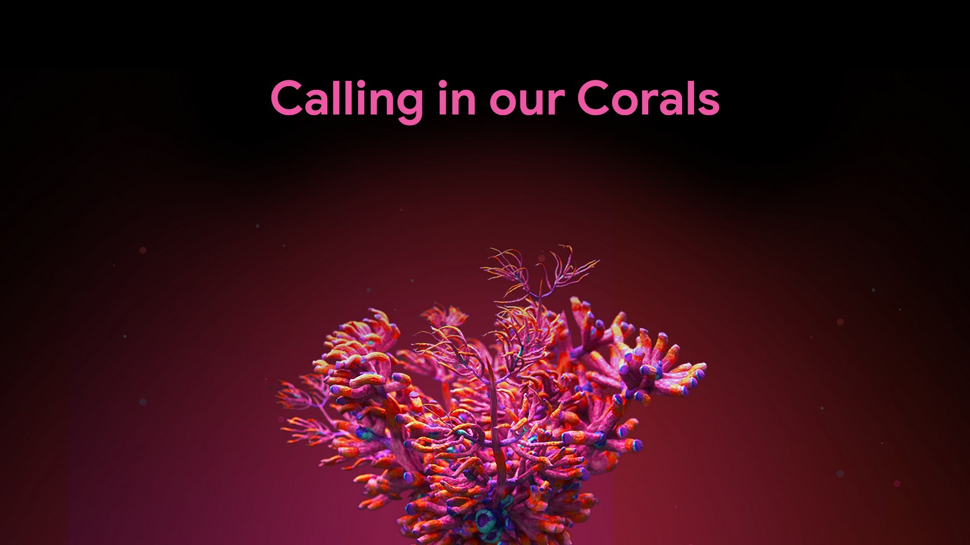 Calling in our Corals: помогите обучить ИИ-модель