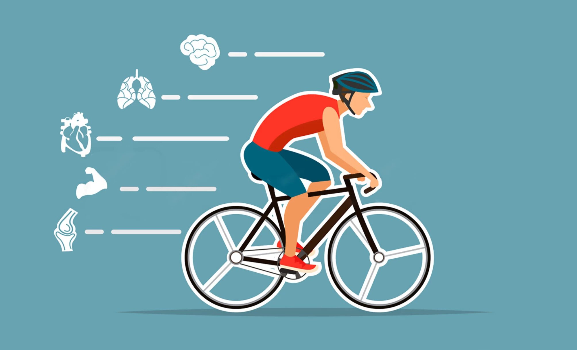 Польза велосипеда для организма: руководство по улучшению здоровья
