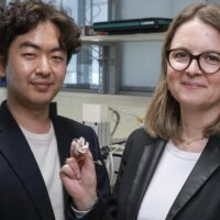 Учёные создали электрод-оригами для имплантации в мозг